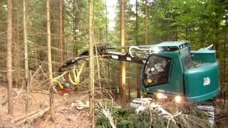 Neuson Ecotec trackharvester with LogMax 5000 [upl. by Kallista]