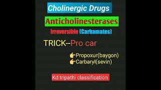 Cholinergic Drugs part 4 anticholinesterasescarbamatespharmacology trick classification [upl. by Enella577]