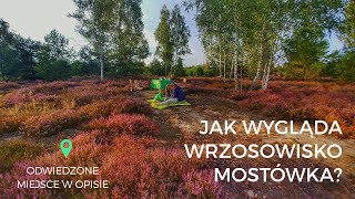 Wrzosowisko Mostówka  BUTAKA TRAVEL FAMILY [upl. by Nraa]