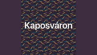 Kaposváron is [upl. by Padegs]