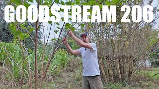 Easy Food Forest Tips and Tricks Goodstream 206 [upl. by Alphonsine]