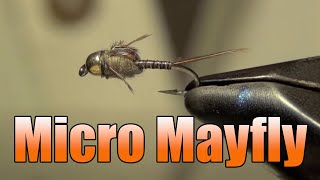 Micro Mayfly Fly Tying  Mike Mercer Fly Pattern [upl. by Nyraf]