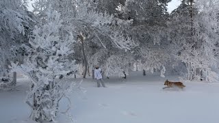 Siberia shivers in winter deep freeze [upl. by Ilah]