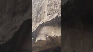 Ajanta cavesAjanta Ellorashortvideo [upl. by Laddie]