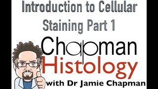 3 Min Histology Intro To Cell Staining 1 [upl. by Island]