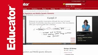 Enhancers and Gene Expression [upl. by Akin]