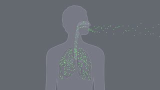 How can you find out if youve been exposed to TCE  Medical Testing [upl. by Cryan]