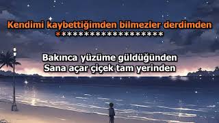 Semicenk Onlar Anlamaz Karaoke Lyrics [upl. by Gilmore]