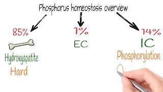 Hypophosphatemia Electrolytes part 8 [upl. by Gylys332]