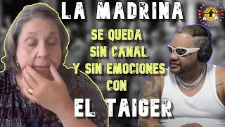 👉EL TAIGER SIGUE CAUSANDO EMOCIONES NO POSITIVAS ENTRE LOS YOUTUBERS CUBANOS🔥❗ [upl. by Eisseb]