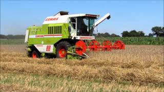 Claas Dominator 88 Combine [upl. by Atnicaj740]