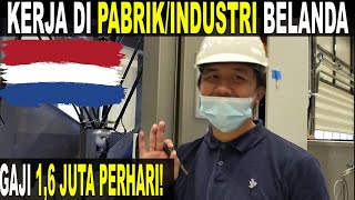 CARA DAPAT KERJA DI PABRIK BELANDA HOW TO GET A JOB IN THE NETHERLAND CERITA TKI SUKSES [upl. by Klotz275]