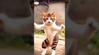 be korbo be korbo moner khusite youtube viralvideo cat funny short song [upl. by Angadresma]