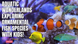 Exploring Ornamental Fish for Kids  Aquatic Wonderlands Learn and Play with Ornamental Fish [upl. by Ahsinid]