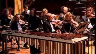 koppels marimba concerto [upl. by Landri]