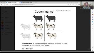 Codominance Incomplete Dominance and Punnett Squares [upl. by Aneelad673]