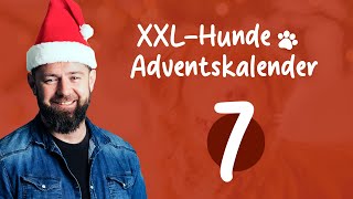 Türchen 7 🎄 XXLHundeAdventskalender 🐕 [upl. by Airamesor288]