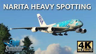 Narita Heavy Spotting 4K  60 KNOT WINDS  A380 777 747 787  Microsoft Flight Simulator 2020 [upl. by Callida]