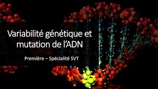 Cours Spé SVT 1eres  Variabilité génétique et mutation de lADN [upl. by Edlun632]