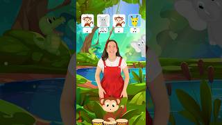 Apprends le rythme avec petit singe 3 🐵💕 musique enfants kids parents rhythm [upl. by Winnick]