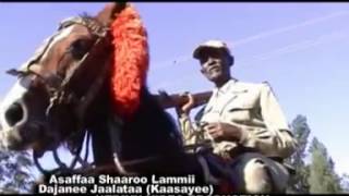 Dejene Jalata  Assaffaa Shaaroo lammii Oromo Music [upl. by Jemma]