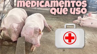 Botiquín basico para la cria de CERDOS 💉💊 [upl. by Andrei914]