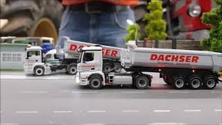 Mercedes Arocs amp MAN quotDachserquot  187 RC Mikromodell [upl. by Rikahs379]