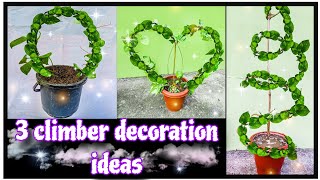 3 climber decoration ideasmoney plantkunjalataaparajita plant decoration ideasyoutubeytstudio [upl. by Supen606]