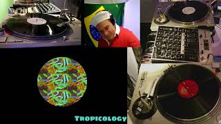 Dj Brother Charlie  Tropicology  Nik Nice  Brazil Rare Groove Vol 5 [upl. by Garner]