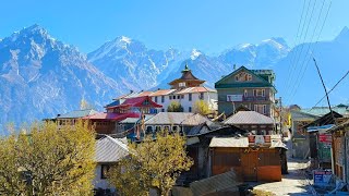 Kalpa Village Himachal Pradesh  Reckong Peo  Roghi Village  Village Tour In Himachal  Kinnaur [upl. by Aiel654]