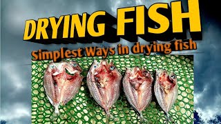 Drying Fish Process Simplest way [upl. by Novaj]