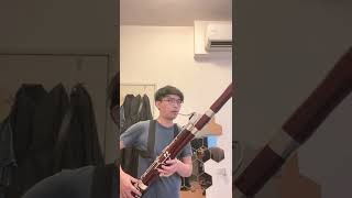 Hummel bassoon concerto practice [upl. by Broddie]