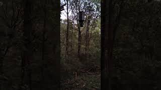 New Moultrie Feeder Up [upl. by Swann]