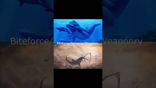 Zygophyseter vs Cretoxyrhina whalefacts apexpredator sharkscience paleontology animals whale [upl. by Oremodlab307]