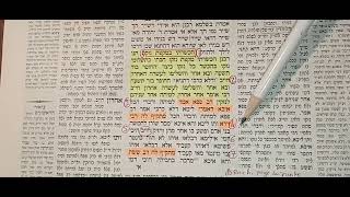 35 Daf י Le Talmud Guemara Rachi Expliqué en Français Baba Kama [upl. by Demeter]