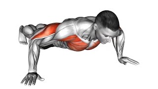 The BEST CHEST and TRICEPS Pushup WORKOUT for BEGINNERS [upl. by Neleh]