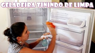 GELADEIRA LIMPA BRILHANDO E SEM ODORES LIMPEZA DA BORRACHA TAMBÉM Fran Adorno [upl. by Lanaj]