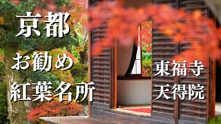 【京都紅葉】お勧め紅葉名所 東福寺天得院 京都観光 京都名所 風景写真 autumn leaves in Kyoto Japan 東福寺 天得院 Tofukuji temple [upl. by Airda]