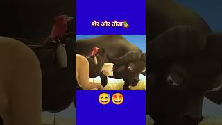 Sher aur Tote ki comedy cartoon Viral Videos editing comedy  I Love my world friends bast Viral [upl. by Ahsekam274]