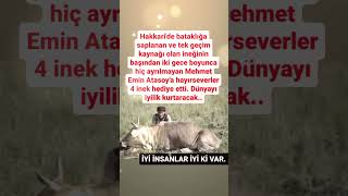 MEHMET ATASAY TEK GEÇİM KAYNAĞI OLAN İNEK BATAĞA SAPLANDI VE İKİ GECE BAŞINDA BEKLEDİ VE HAYIRSEVER [upl. by Nepets]