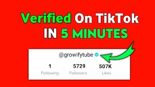 How to Get Verified On TikTok  Getting BLUE BADGE on TikTok 2022 100 working [upl. by Asehr603]