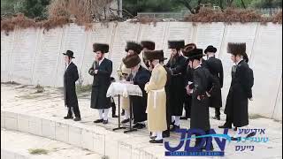 Kretchnif Siget Rebbe Davens On Har Hatzofim  Chol Hamoed Pesach 5784 [upl. by Cory]