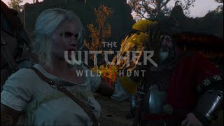 THE WITCHER 3 WILD HUNT 🐺⚔️ 036  CIRI WETTRENNEN MIT DEM BARON [upl. by Lemaj]