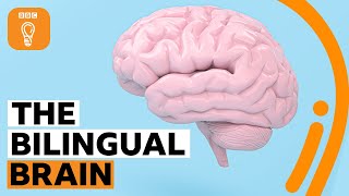 Why being bilingual is good for your brain  BBC Ideas [upl. by Anneehs]