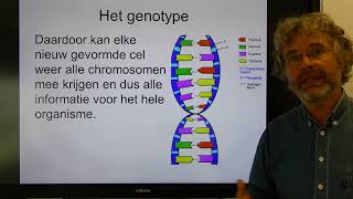 Biologie HV OB Chromosomen genen en genexpressie [upl. by Hamfurd]