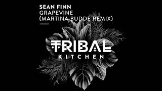 Sean Finn  Grapevine Martina Budde Extended Remix [upl. by Nirhtak]