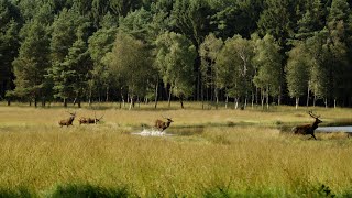 Geldersch Landschap amp Kasteelen voor altijd bijzonder [upl. by Elac]