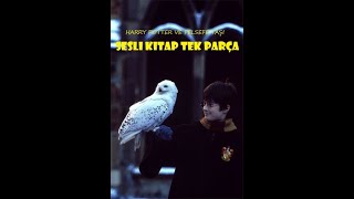 Harry Potter ve Felsefe Taşı  Tek Parça  En İyi Sesli Kitap [upl. by Auliffe677]