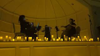 fever by candlelight at the Birmingham Botanical Gardens ft The Sekine Quartet [upl. by Glinys]