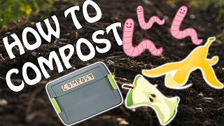 How To Compost At Home [upl. by Nylirehc]